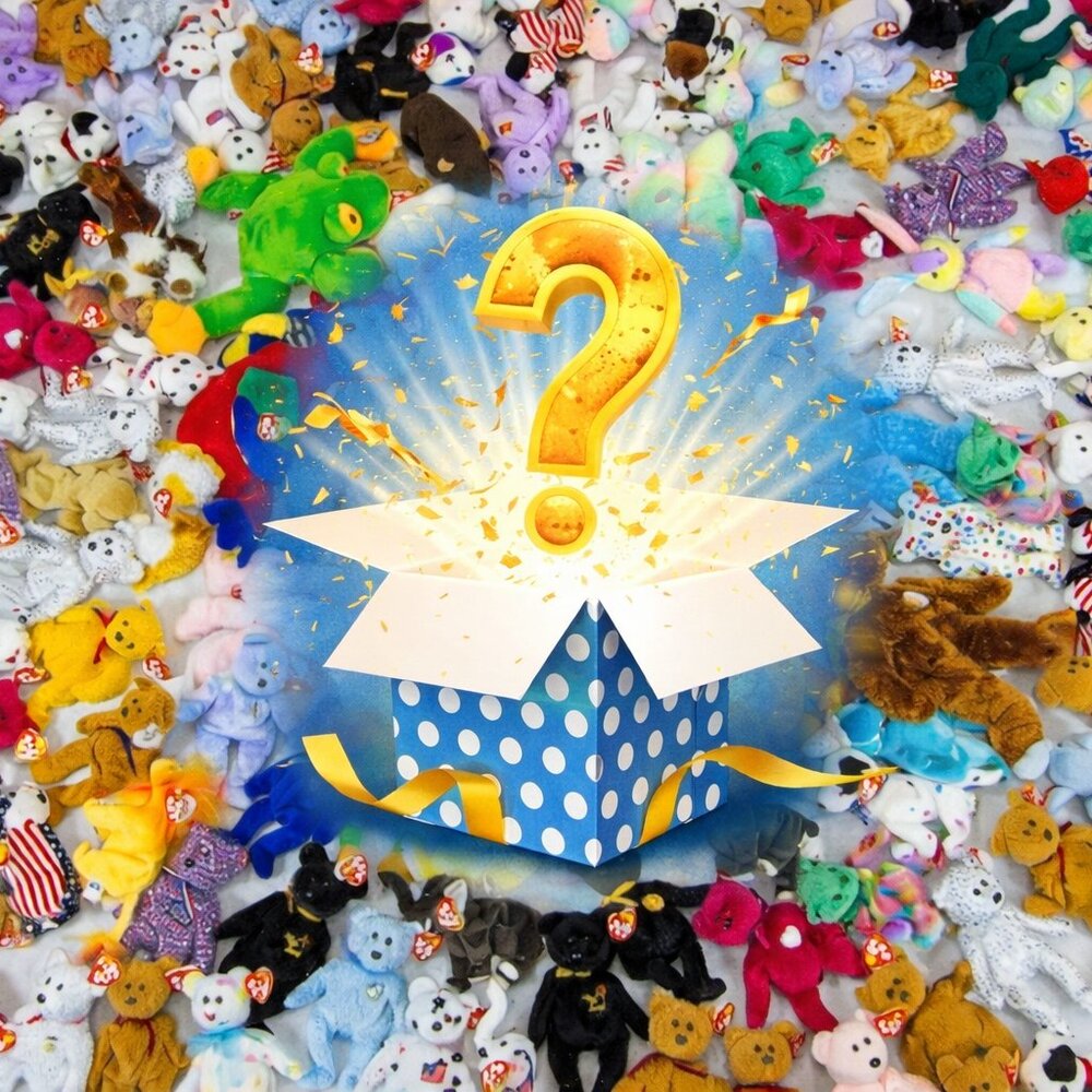 🎁❤️🧸MYSTERY BEANIE BOX🧸❤️🎁
